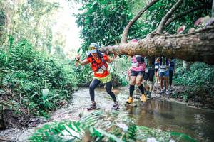 BIB: 
                            <button type="button" onclick="openModal(25469400)" class="btn btn-primary btn-sm float-right btn-popup" data-toggle="modal" data-target=".modal-high-quality">
                        <i class="fas fa-shopping-cart"></i> Add to Cart
                    </button>
                                            <button type="button" onclick="isThisMe(25469400, true)" class="btn btn-success btn-sm float-right btn-popup btn-isme hidden" data-toggle="tooltip" data-placement="bottom" title="นี่คือรูปของคุณใช่ไหม คลิกที่นี่เพื่อเอาเข้าอัลบั้ม">
                        <i class="fas fa-plus"></i> Add to album
                    </button>
                    <button type="button" onclick="isThisMe(25469400, false)" class="btn btn-warning btn-sm float-right btn-popup btn-isnotme hidden">
                        <i class="fas fa-ban"></i> Remove from album
                    </button>